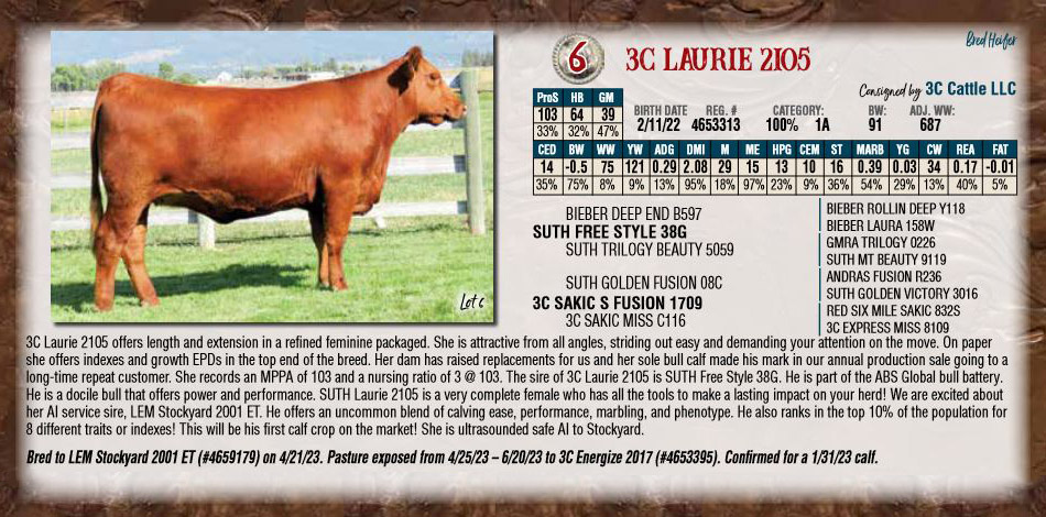 3c Laurie 2105 Bred Heifer For Sale 2023 Nile