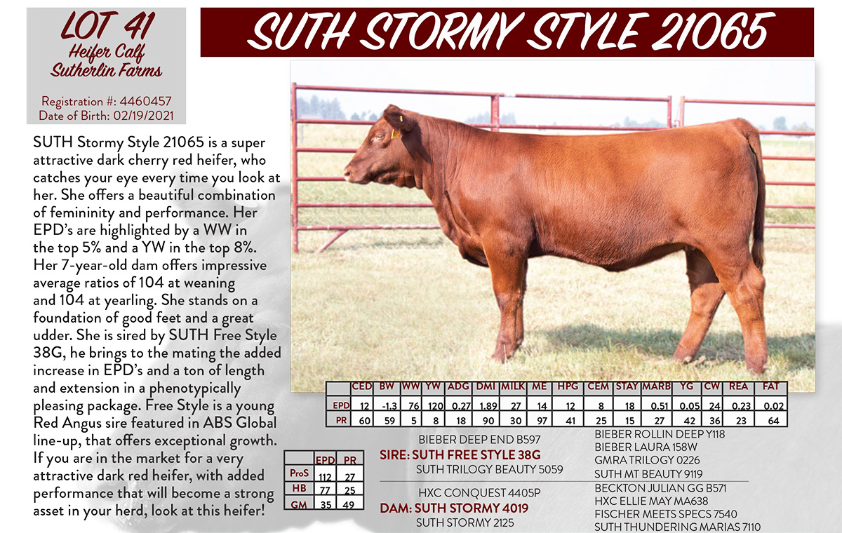 2021 NILE Suth Stormy Style 21065